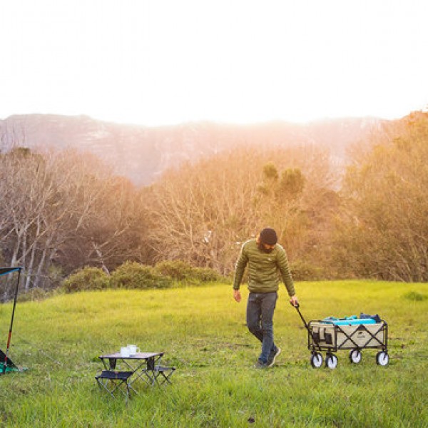 Naturehike Portable Folding Luggage Trolley Cart  Adjustable Pull Rod Shopping Push Cart Max Load 80kg Outdoor Camping